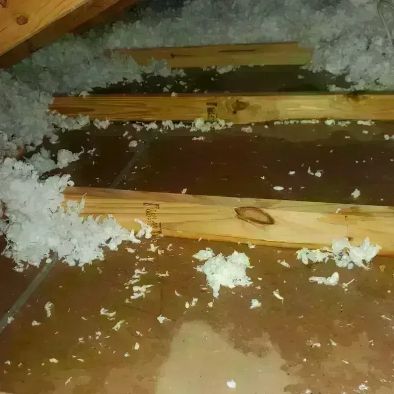 Attic Water Damage in Jamestown, CA