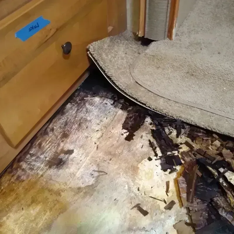 Wood Floor Water Damage in Jamestown, CA